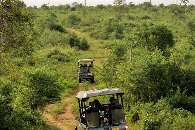 Udawalawe National Park Entrance Ticket with Private Safari - FAQ