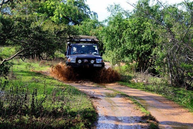 VALUE PACK! One Day Safari Tour to Yala and Udawalawa Parks - FAQs
