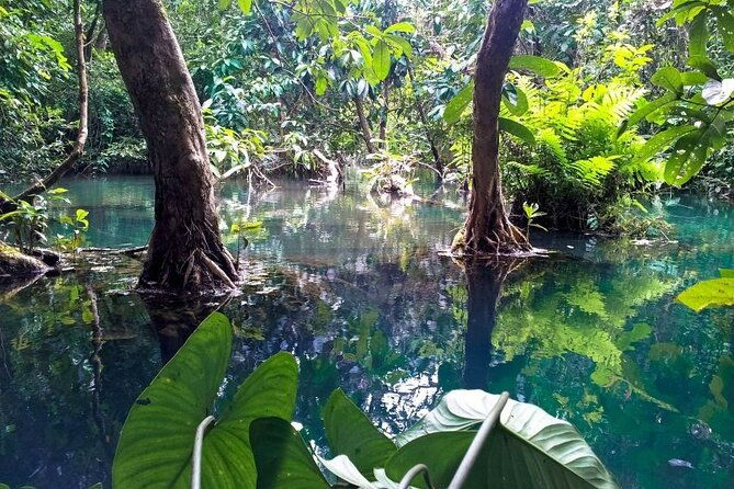 Vam Sat Mangrove Forest - VIP Private Tour from Ho Chi Minh City - Final Thoughts