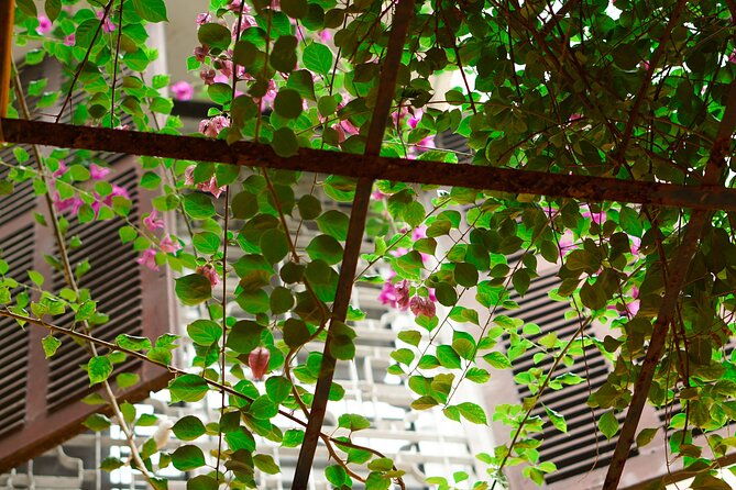 Vegan Cooking Class in Local Villa with Market Visit - Free PickUp & DropOff - FAQ