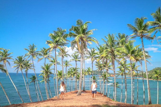 Wild Wonders Of Sri Lanka | 7 Days - FAQ