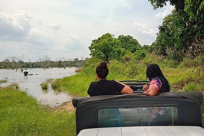 Wilpattu National Park Leopard safari from Colombo/Negambo - Final Thoughts: Is It Worth It?