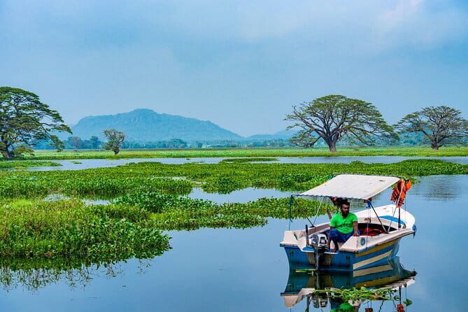 Yala National Park Safari - Half day and Full day - Who Will Love This Safari?