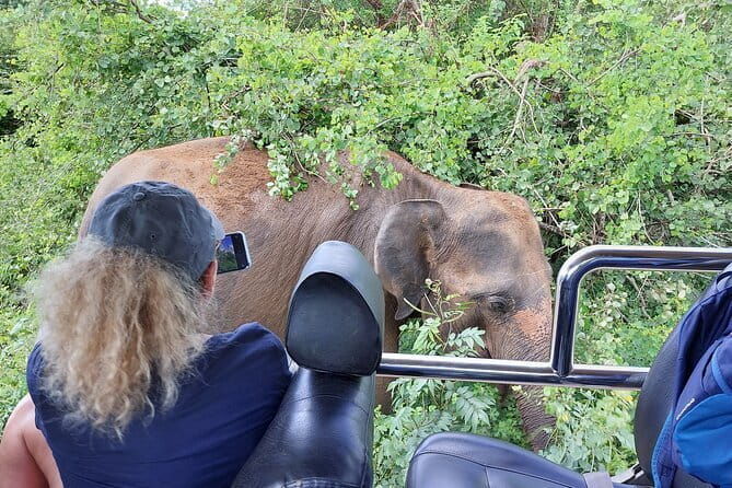 Yala National Park Tour from Hambantota Port Janaka Safari - Who Should Consider This Tour?