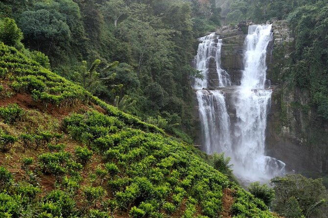 6 Days Nature And Culture Tour - Key Points