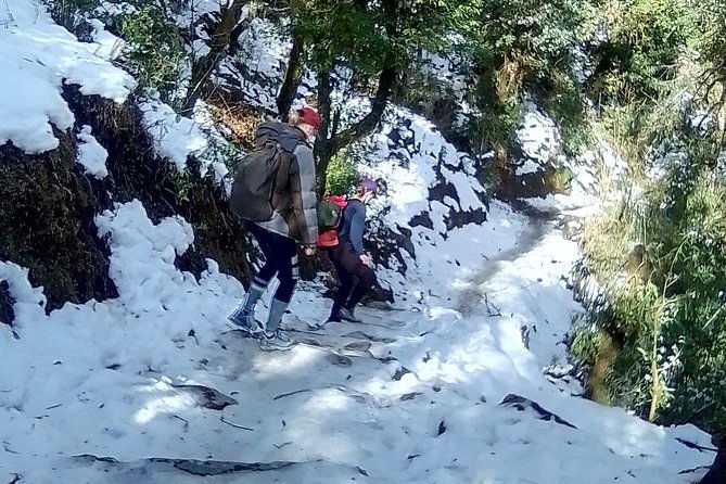 6 Days Poon Hill - Ghandruk Circuit Trek from Kathmandu - Introduction: A Trek You’ll Never Forget
