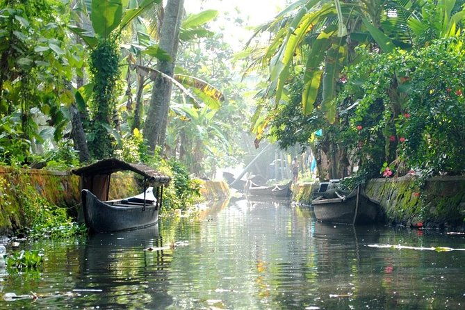 6 Days Private Tour Kerala Natural Retreat - Detailed Breakdown of the Tour Experience