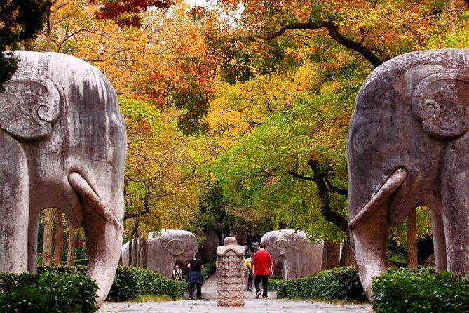 6-Hour Private Tour of Xiaoling Tomb,City Wall & Memorial Hall - An In-Depth Look at the Nanjing Private Tour