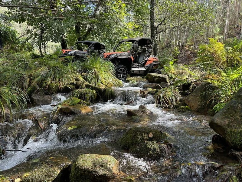 60-minute Buggy Tour - The Value of the Experience