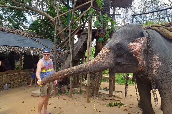 12 Days Sri Lanka Island Adventure and Wild Tour - Wild Encounters in Yala