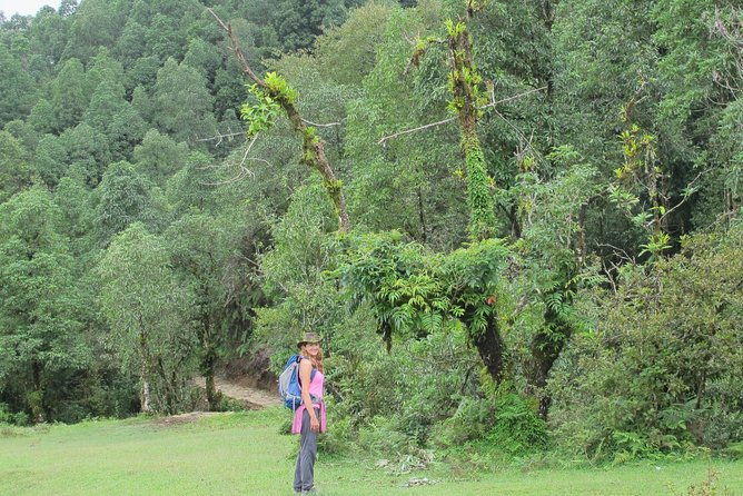 2-Day Private Trekking Tour to Australian Camp & Dhampus - FAQ: Your Practical Questions Answered