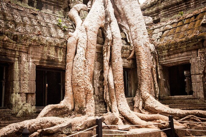 2-Day Siem Reap Angkor Bicycle Experience - Who Would Love This Tour?