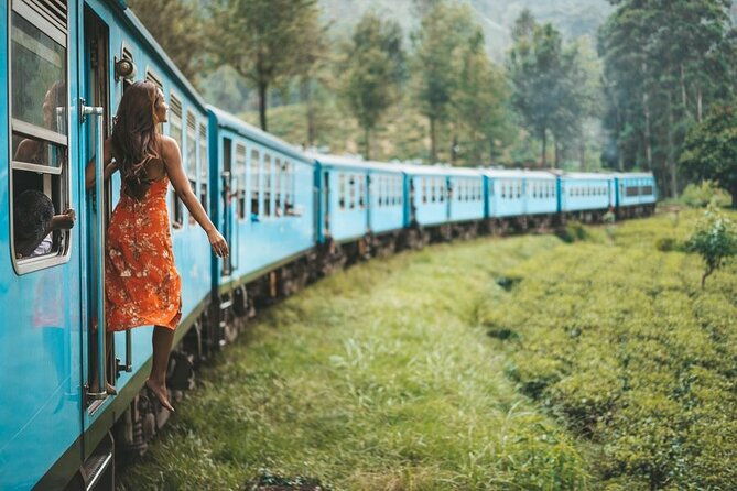 2 Day Tour of Yala & Ella with Hill Country Scenic Train Ride - All Inclusive - Who Is This Tour Best For?
