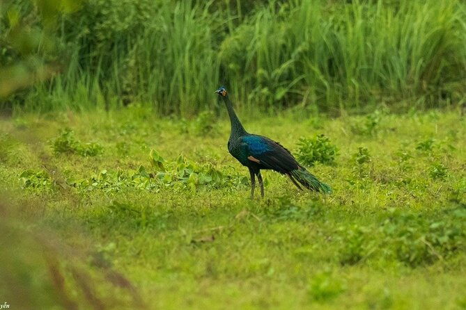 2-Day Trekking & Biking Nam Cat Tien National Park from HCM City - Additional Resources