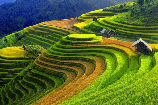 2 Days 1 night Sapa Tour from Hanoi by Limousine/Sleeper bus - FAQ