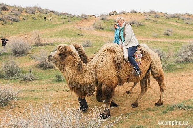 2 Days of Tour in Yurt Camp and Aydarkul - FAQ