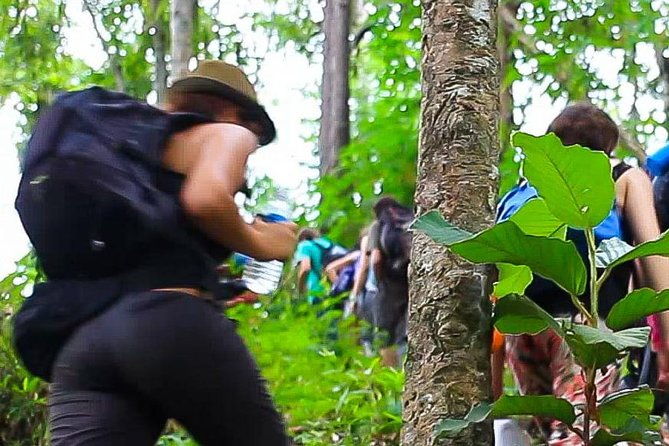 2D1N Mae Wang National Park Jungle Trekking Adventure from Chiang Mai - FAQ