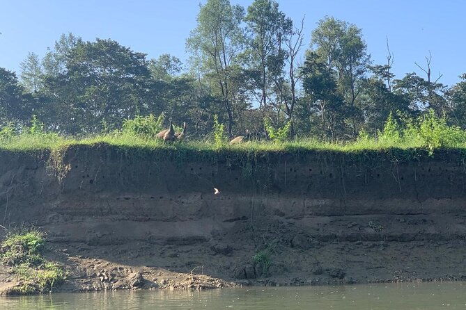 3-Day All Inclusive Chitwan Jungle Safari Tour From Kathmandu - FAQ