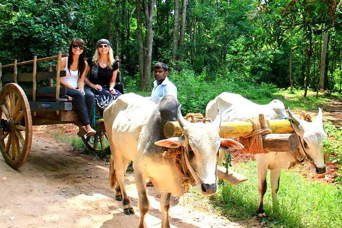 3 Days Glimpse Of Sri Lanka - FAQ