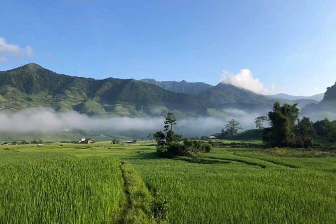 3D2N- Rice Terraces Treks & Easy rider from Sa Pa - FAQ