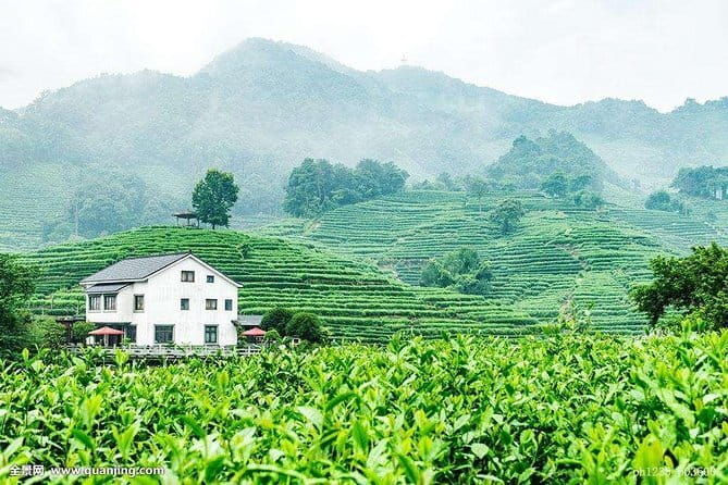 4-Hour Hangzhou Highlights Tour of Lingyin Temple and West Lake - FAQs