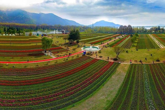 5 Days Kashmir Beauty Tour with Accommodation and Transport - Wrapping It Up