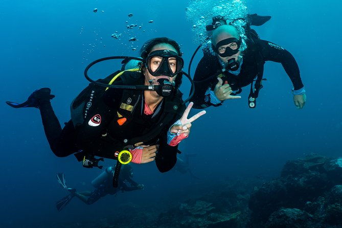 5 Fun Dives in Pemuteran (for certified divers) - Exploration in Menjangan Park - Final Thoughts