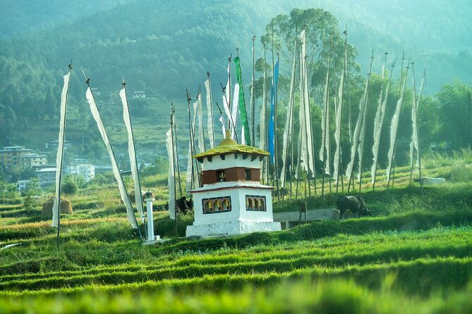 7 Days In The Magical Kingdom of Bhutan - Final Thoughts