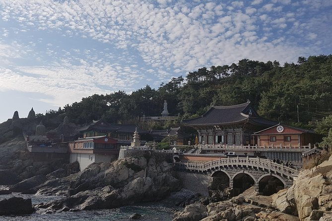 9-Days Tasty Journey Around South Korea Tour - Final Thoughts