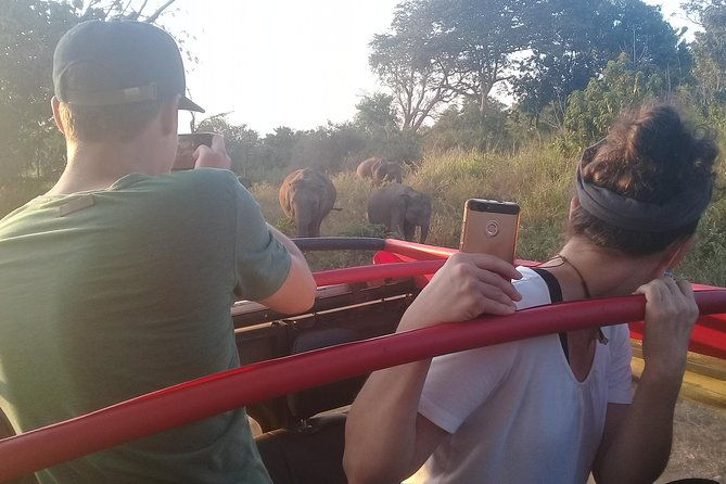 Adventure trincomalee to sigiriya and wild safari ,village tour - Transportation and Timing