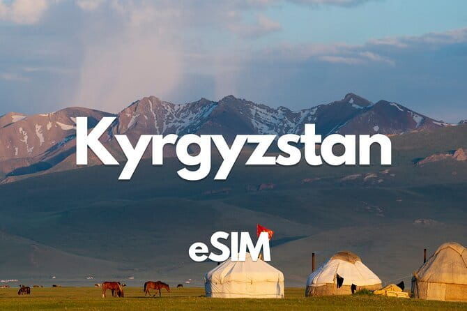 Airport transfer by Ventura Tours Central Asia, arrival/depart. - FAQ