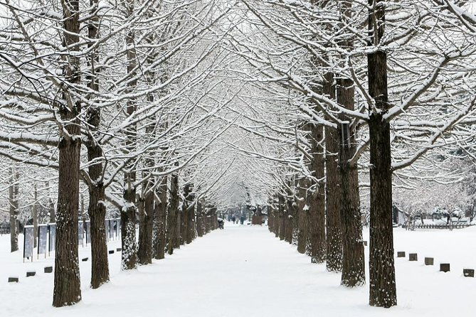 All Day Private Make your own plan tour to Nami Island and others - Final Thoughts: Is This Tour Right for You?