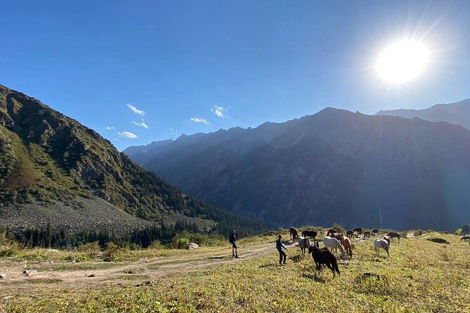All in one-day: Bishkek city tour and Ala-Archa National Park - The Sum Up: Who Will Love This Tour?