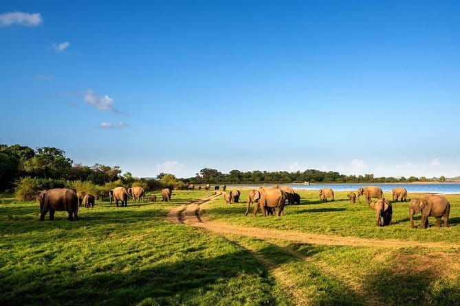 All Inclusive Sigiriya and Dambulla Day Tour from Katunayake - Sigiriya Rock Fortress
