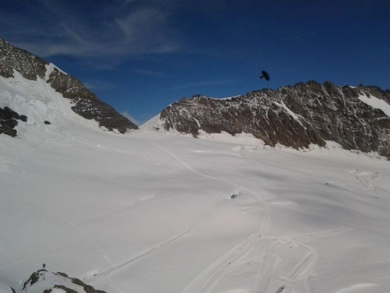 Alpine Majesty: Basel to Jungfraujoch Exclusive Private Tour - FAQs