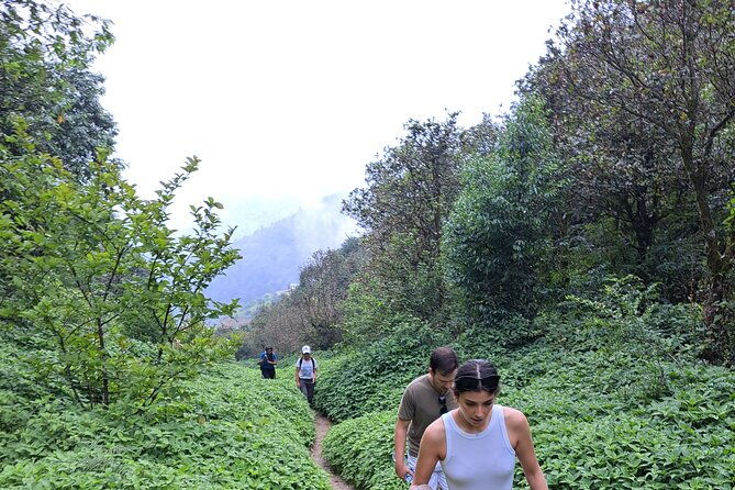 Amazing 1 Day Trekking Experience in Kathmandu Nepal - FAQ
