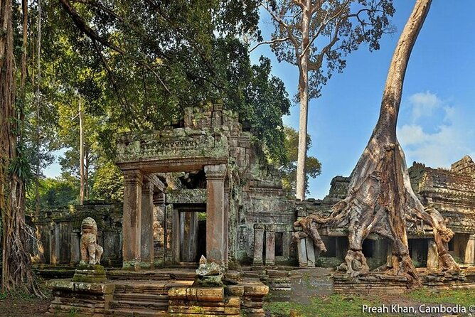 Angkor Wat Sunrise Private Experience with Guide from Siem Reap - The Sum Up