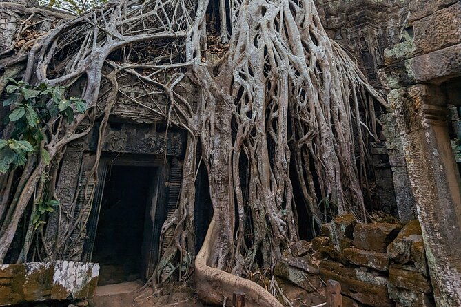 Angkor Wat Temple Tour with own Tuk Tuk Driver - Frequently Asked Questions