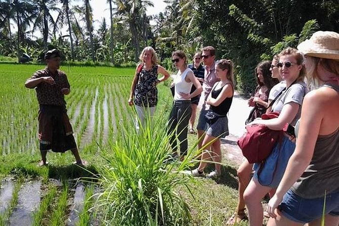 Bali Amazing Cooking Class - Final Thoughts: Is This Tour Worth It?