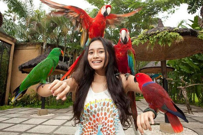 Bali Bird Park Admission Ticket with Hotel Transfer - The Sum Up: Is This Tour Worth It?