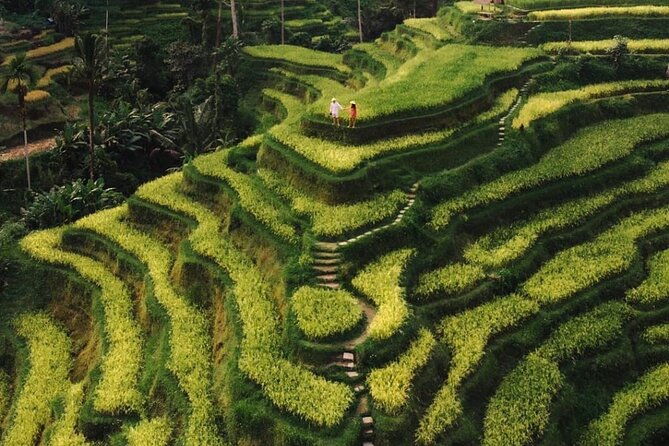 Bali Instagram Tour - All Inclusive - FAQ