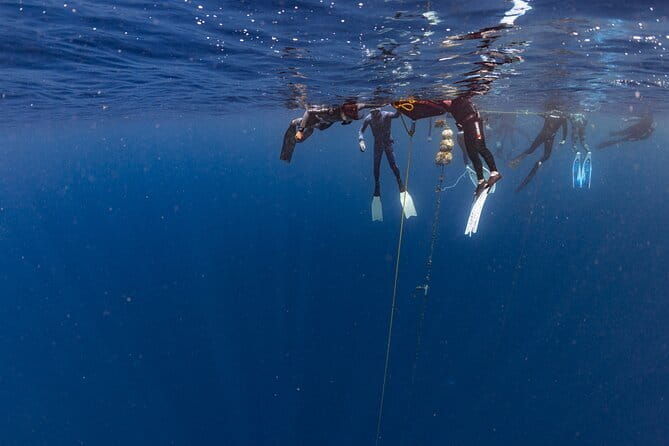 Beginner Freediving Course (with Bonus Session) - Who Should Consider This Course?