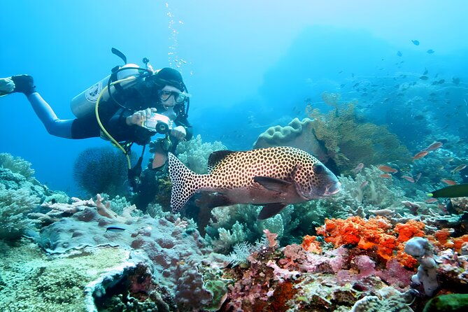 Best of Bali Water Sport Jumbo Packages - Who Should Book This Experience?