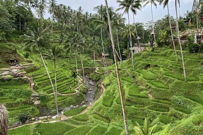 Best of Instagram Tour: Gate of Heaven, Tirta Gangga, Bali Swing - Authentic Experiences and Hidden Gems