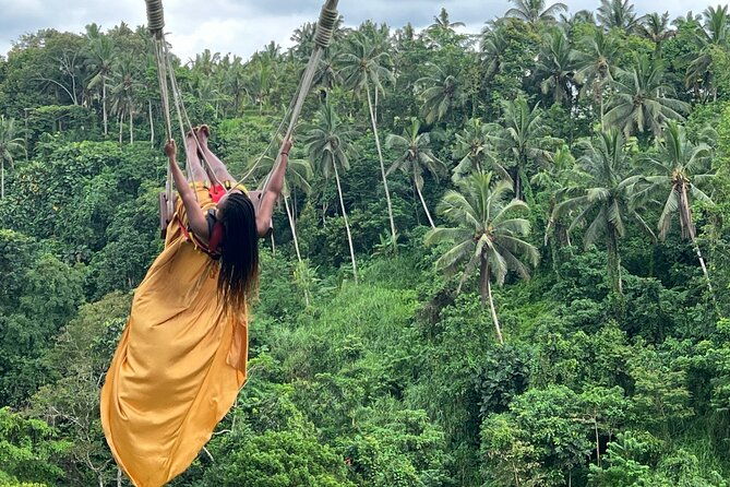 Best of Ubud : Elephant Cave Temple, Monkey forest, Rice Terrace - The Sum Up