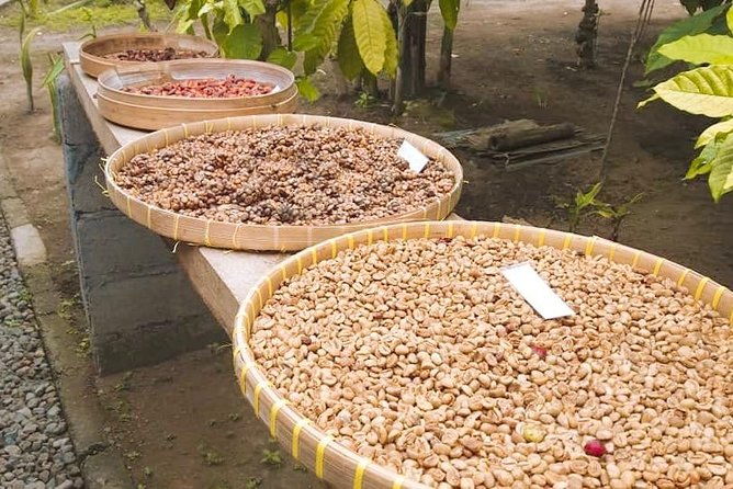 Best Of Ubud : One Day Hidden Waterfall Tour with Tempel - FAQ