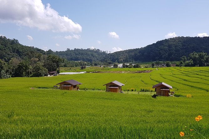 Best seller! Doi Inthanon National Park Oneday tour with the Highest point - Final Thoughts