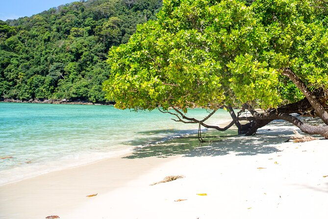 Best Seller - Surin Islands Snorkeling Trip from Khao Lak - Who Would Enjoy This Tour?