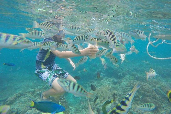 Blue Lagoon & Tanjung Jepun Snorkeling Private Tour - Is This Tour Right for You?