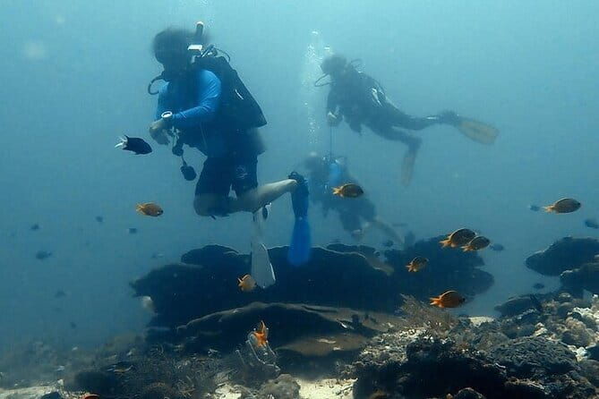 Cebu Private Tour 3 Islands Hopping Gilutungan Caohagan Nalusuan - The Sum Up